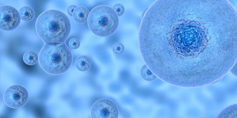 漢氏藥業(yè)|第7個臨床試驗(yàn)申請獲批準(zhǔn)，領(lǐng)跑干細(xì)胞新藥賽道